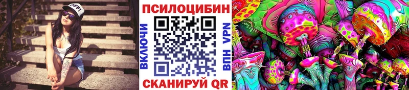 Псилоцибиновые грибы мухоморы  где купить   Петровск 